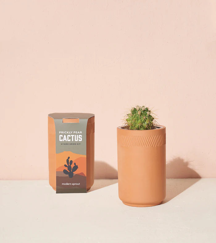 Modern Sprout Terracotta Grow Kit