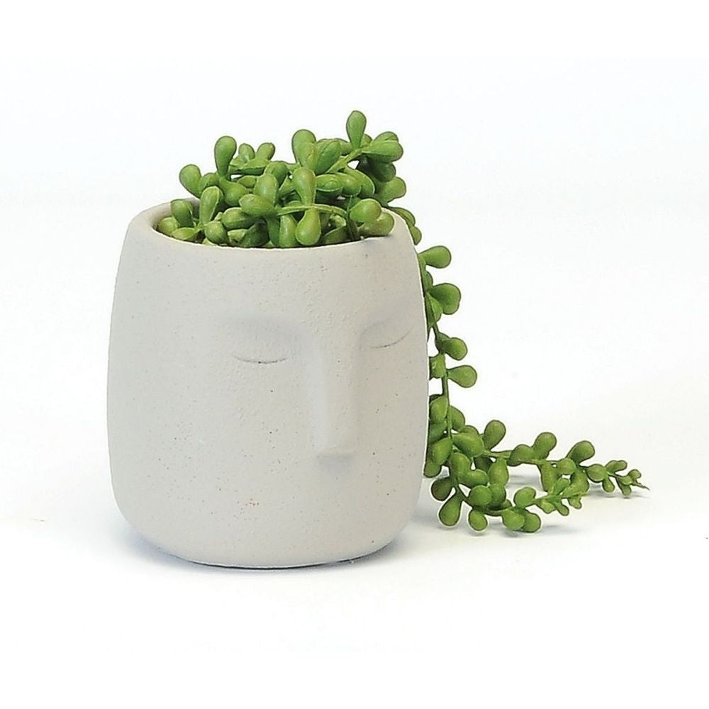 Visage Planter