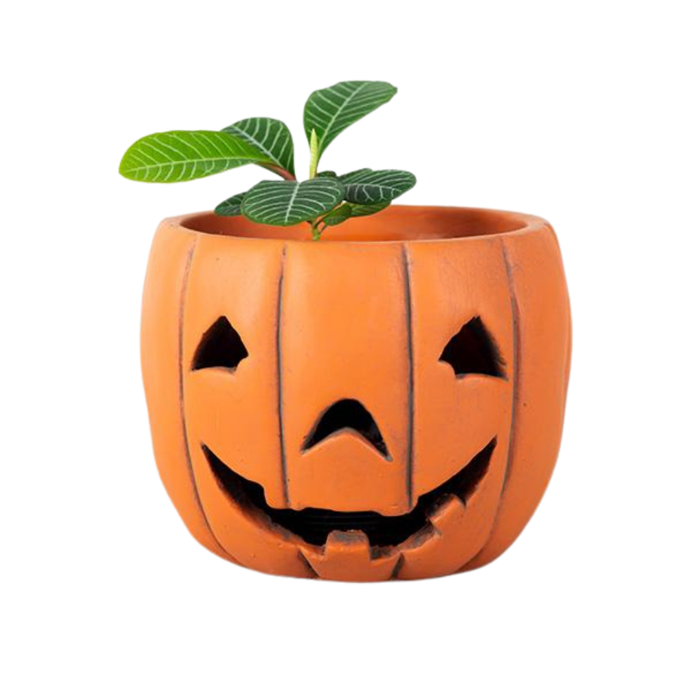 Pumpkin Flower Pot