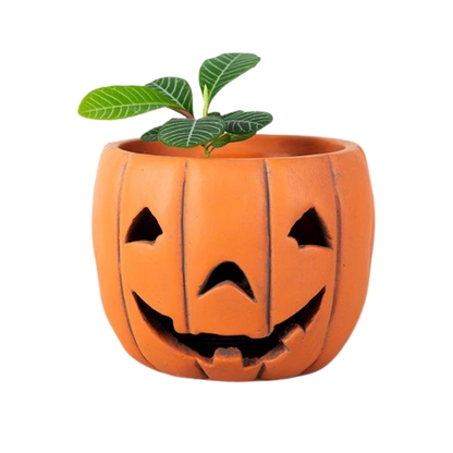 Pumpkin Flower Pot