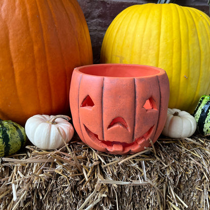 Pumpkin Flower Pot